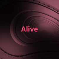 Portfolio Thumbnail 1
