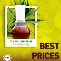 Portfolio Thumbnail 7