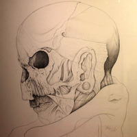 Traditional Drawing on 265 gsm paper, 4ft x 4t