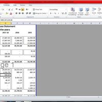 Profit Loss Statement