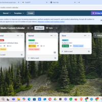 Project management using trello
