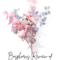 Portfolio Thumbnail 8