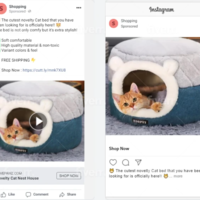 Instgram Campaign