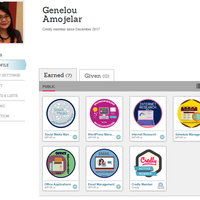 Earned badges