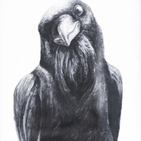 Portfolio Thumbnail 14