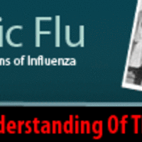 Banner Design