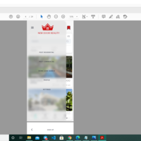 Mobile app. dev