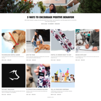 Modleash.com | Shopify store