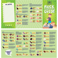 Quad Fold Brochure Design