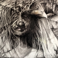 Pencil Illustration