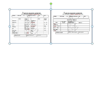 Result Form using MS Word