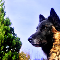 Portfolio Thumbnail 23