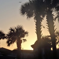 Portfolio Thumbnail 1