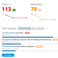 Website audit
