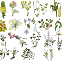 Portfolio Thumbnail 0