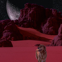 Portfolio Thumbnail 4