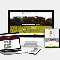 Portfolio Thumbnail 4