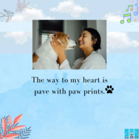 Portfolio Thumbnail 2