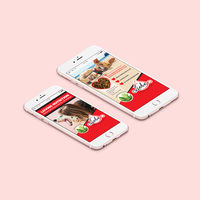 Flyers for print & digital use