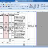 Revised Budget 