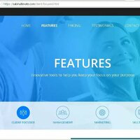 Online web system for tracking and managing salons activity