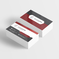 Marketing Materials and Visual Identity Design — Skynora