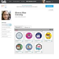 Credly Badges