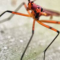 Portfolio Thumbnail 5