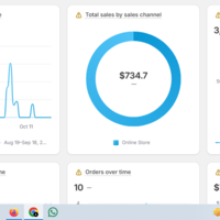 Shopify Sale