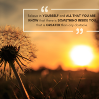 Portfolio Thumbnail 12