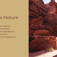 Website Banner
