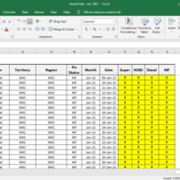 Master data sheet of sale report