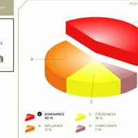 DISC PERSONALITY RESULT 2021