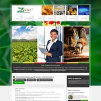 Portfolio Thumbnail 1