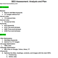 SEO Assessment: Analysis and Plan