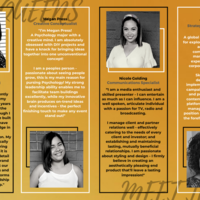 Portfolio Thumbnail 3