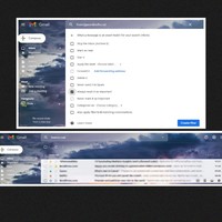 Email Management