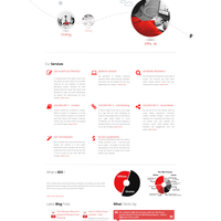 Internet Marketing Experts (Sister Company of Slingshot)