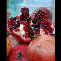 Food Photo