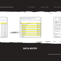 Data Entry