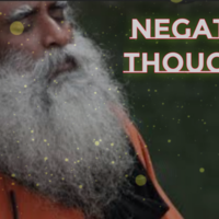 Portfolio Thumbnail 0