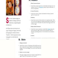 Blog Posting in WordPress