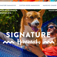 Portfolio Thumbnail 5