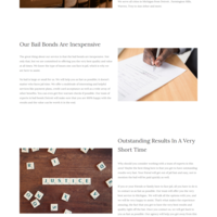 Website for Detroit Bail Bond Company