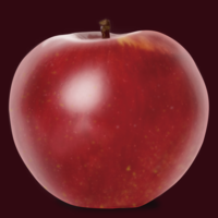 Digital portrait of an apple