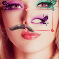 Mobile App Developer