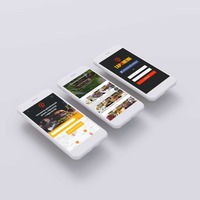 Web/Mobile design & development 