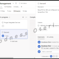 Project Management using Asana 