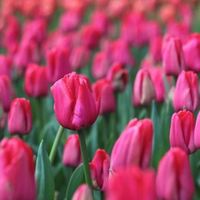 Photography | Nature