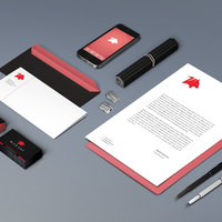 Wild Cat Corporate Brand Identity